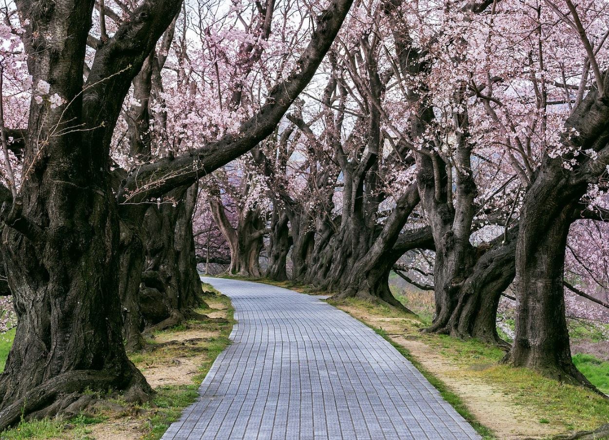 Book recommendations scene with shelves and curated selections
